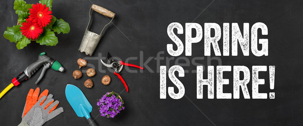 [[stock_photo]]: Jardin · outils · sombre · printemps · ici · fleur