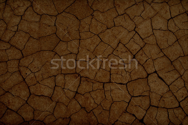 cracked earth texture Stock photo © Zhukow