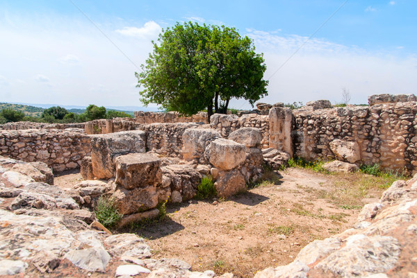 Etri ruins near Beit Shemesh Stock photo © Zhukow