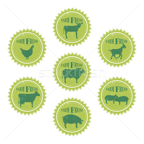 Farm animals labels templates of butchery shop Stock photo © Zhukow
