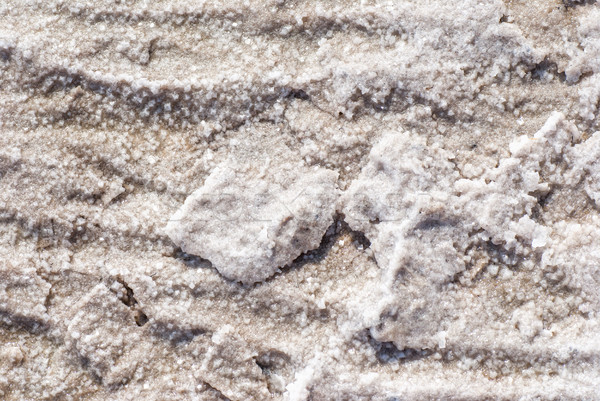 Dry salt lake bottom full of texture. Stock photo © Zhukow