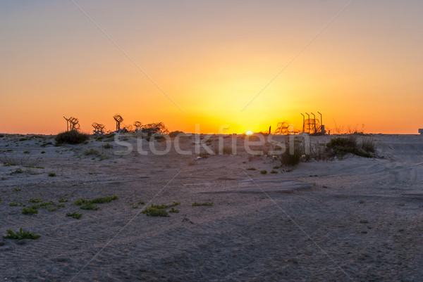 Alambre de púas desierto puesta de sol paisaje espacio color Foto stock © Zhukow