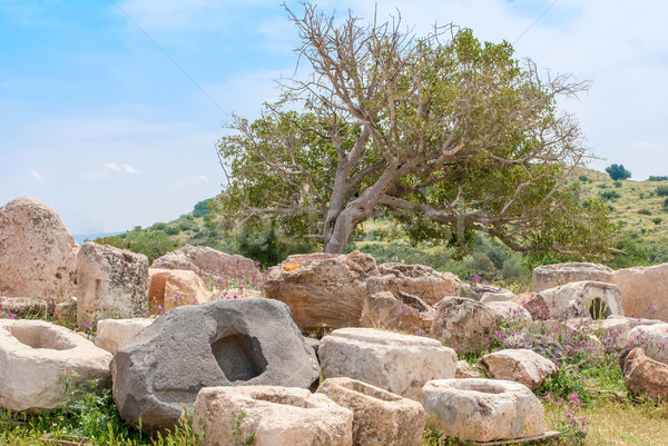 Foto stock: Ruinas · antigua · edificios · parque · árbol · naturaleza