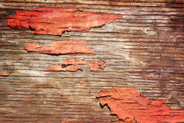 Altholz Planken Textur Holz Hintergrund Stock foto © Zhukow