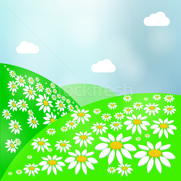 Summer Landscape with Green Grass, Sun and Clear Sky. Vector Meadow Stock photo © Zhukow