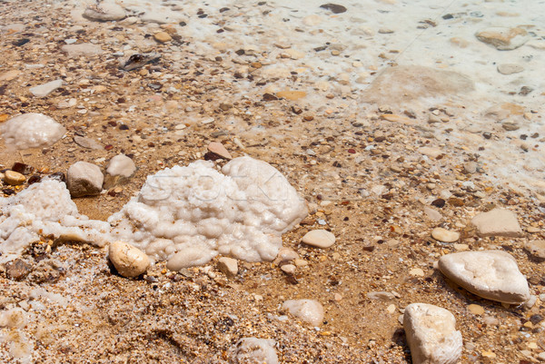 Stock foto: Mineralien · Salz · Israel · Strand · Wüste