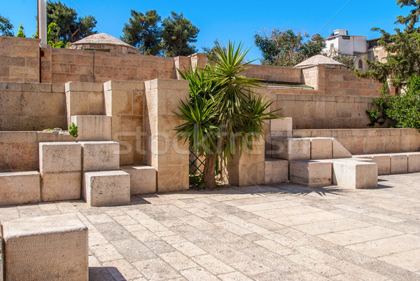 石 通り 古代 エルサレム イスラエル ツリー ストックフォト © Zhukow