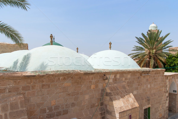 Nabi Musa site and mosque at Judean desert Stock photo © Zhukow