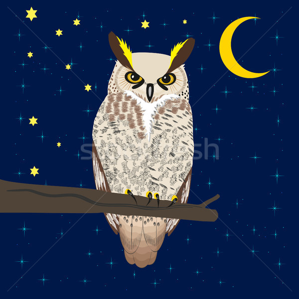 Owl sitting at woods under moon Stock photo © Zhukow
