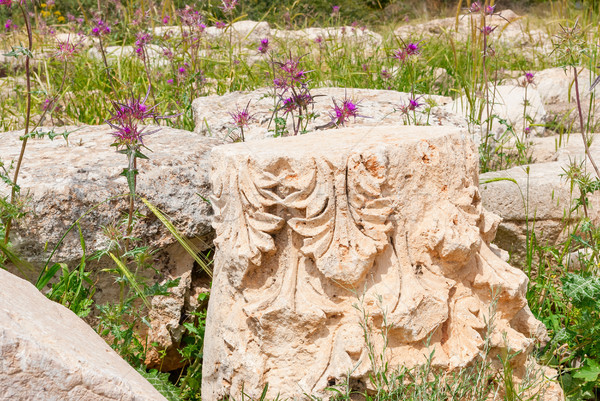 Archeological ruins in Beit Guvrin, Israel. Stock photo © Zhukow