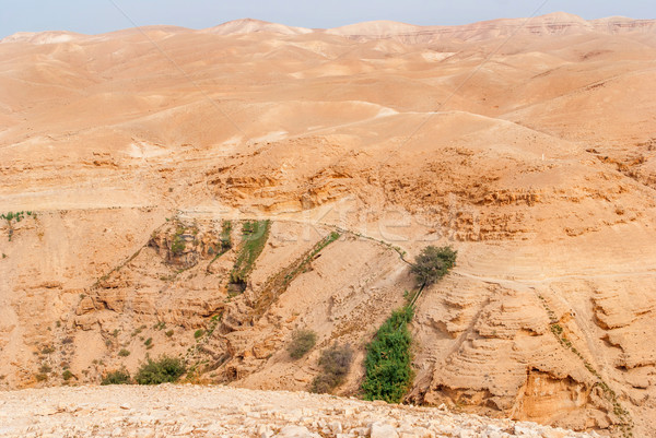 Wadi Qelt in Judean desert around St. George Orthodox Monastery Stock photo © Zhukow