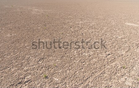 Essiccati sale lago shore spiaggia acqua Foto d'archivio © Zhukow