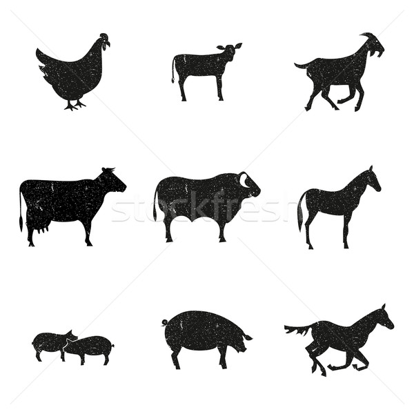 Farm animals silhouette Stock photo © Zhukow