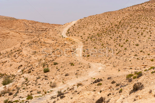 Mountains in the Desert of Negev Stock photo © Zhukow
