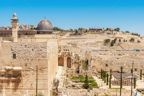 耶路撒冷 視圖 橄欖 清真寺 山 聖經 商業照片 © Zhukow