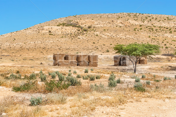 Desert landscape in Israel's Negev desert.  Stock photo © Zhukow