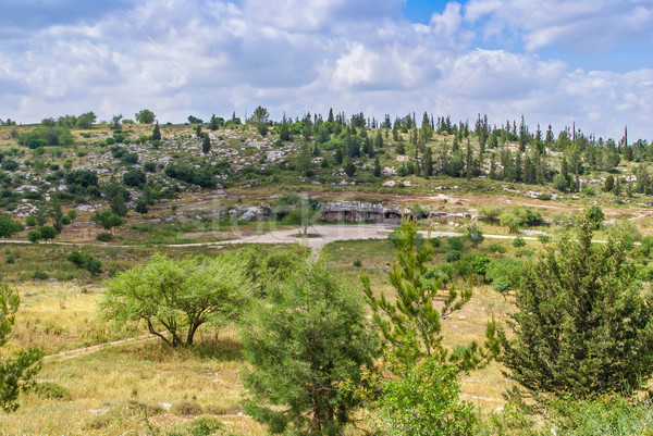 İsrail manzara orman dağlar mağara ağaç Stok fotoğraf © Zhukow