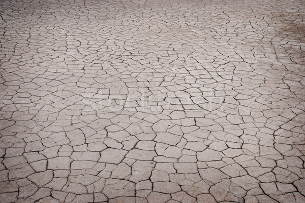 cracked earth texture Stock photo © Zhukow