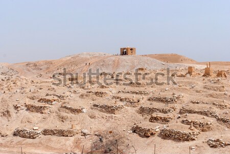 Nabi Musa site and mosque at Judean desert Stock photo © Zhukow