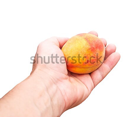 Melocotón mano blanco alimentos madera frutas Foto stock © Zhukow