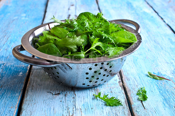 Mixed lettuce leaves Stock photo © zia_shusha