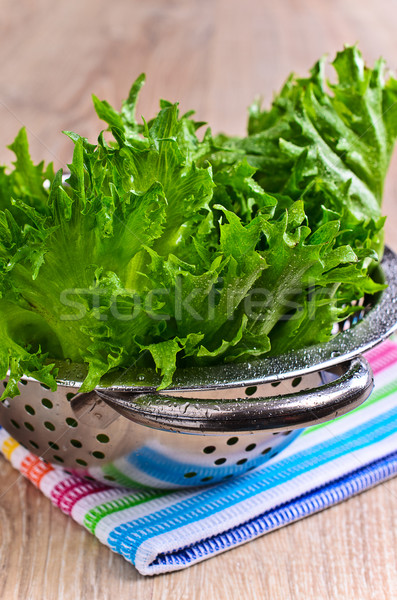 Salad 'Frillis' Stock photo © zia_shusha