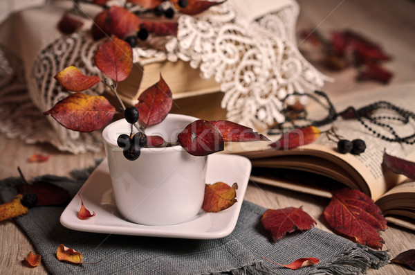 Autumn composition Stock photo © zia_shusha