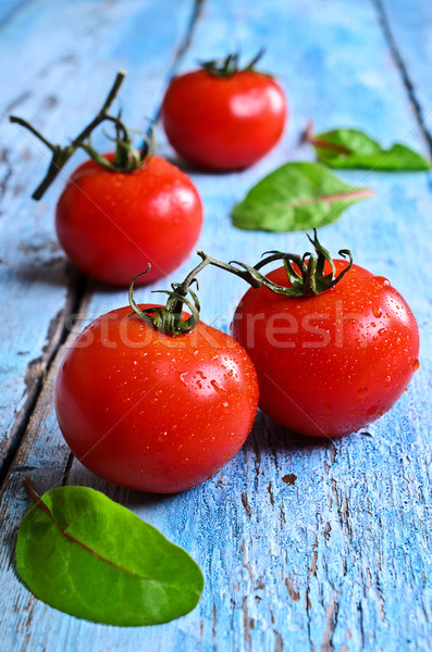 Tomatoes and green lettuce Stock photo © zia_shusha