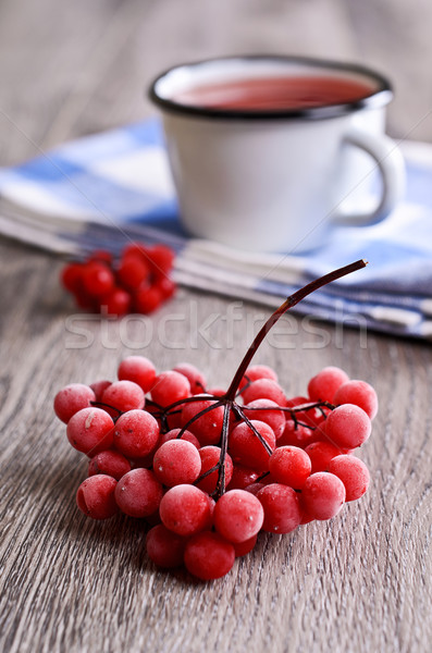 Berries Stock photo © zia_shusha