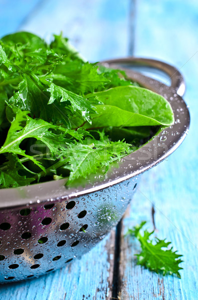 Mixed lettuce leaves Stock photo © zia_shusha