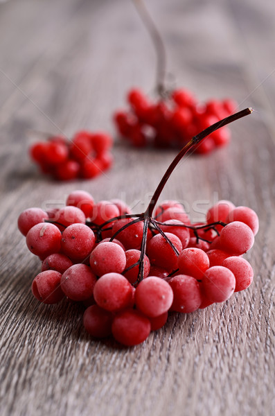 Berries Stock photo © zia_shusha
