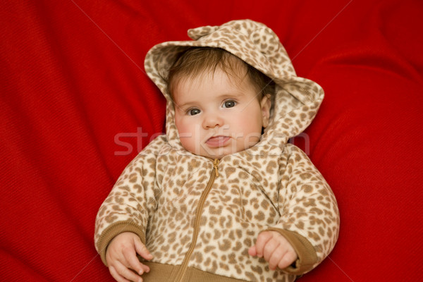 Jovem bebê retrato estúdio quadro menina Foto stock © zittto