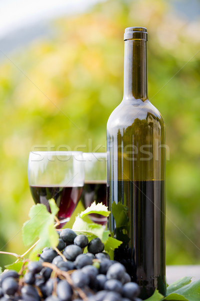Stok fotoğraf: şarap · şişesi · üzüm · ahşap · masa · açık · güneş