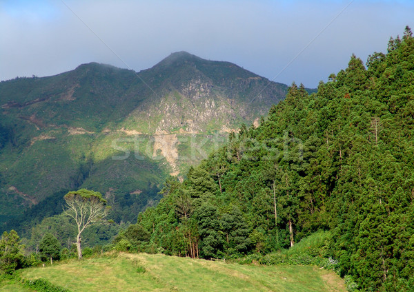 azores mountains Stock photo © zittto