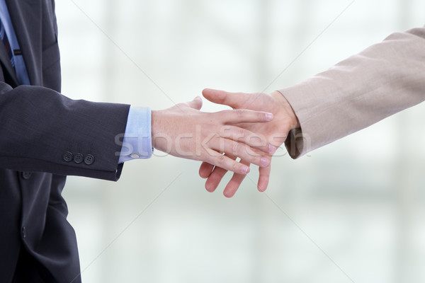handshake Stock photo © zittto