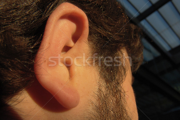 ear Stock photo © zittto