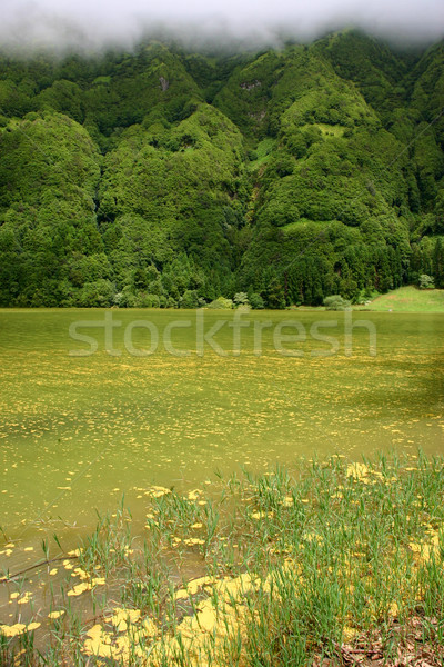 lakes Stock photo © zittto