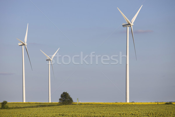 windturbine Stock photo © zittto