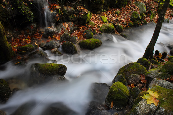 Fluss Langzeitbelichtung wenig Herbst Erde läuft Stock foto © zittto