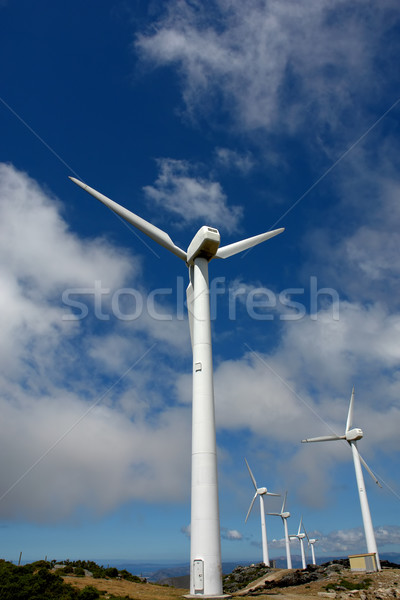 windmills Stock photo © zittto