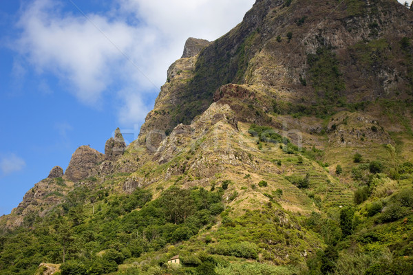 Hegyek gyönyörű zöld Madeira sziget Portugália Stock fotó © zittto