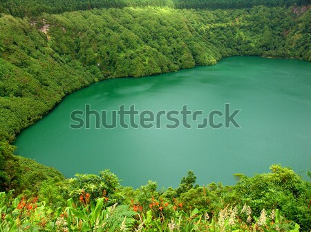 озеро зеленый гор воды природы синий Сток-фото © zittto