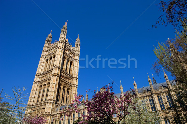 Stock foto: Parlament · London · Gebäude · Westminster · Stadt · Bäume