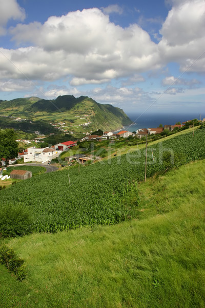 village Stock photo © zittto