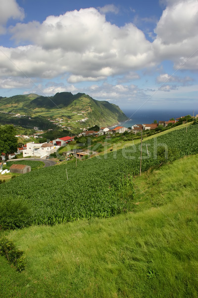 Stock fotó: Falu · víz · út · tájkép · zöld · templom