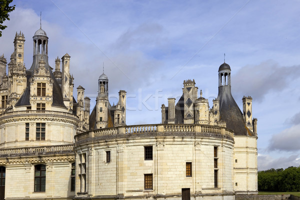 chambord Stock photo © zittto