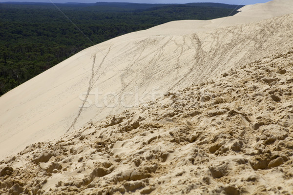 Dune of Pyla Stock photo © zittto