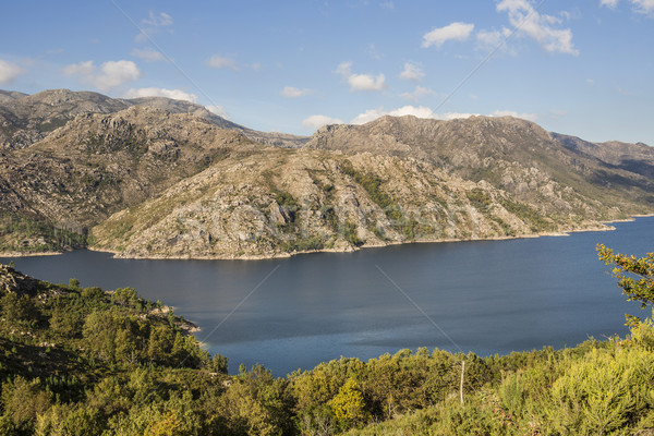 Stock fotó: Park · Portugália · égbolt · víz · erdő · füst