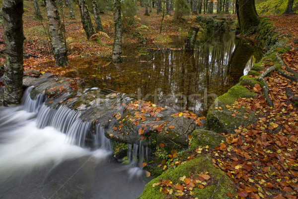 Stock photo: river waterfall