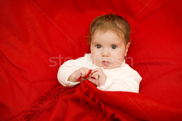 Giovani baby ritratto studio foto ragazza Foto d'archivio © zittto